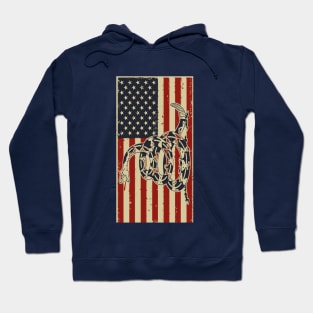 Don't Tread On Me Hoodie